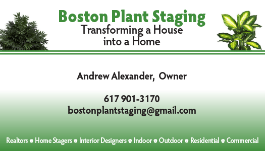 Versatile Printing business cards