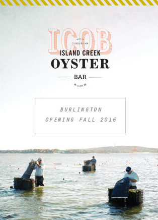 Versatile Printing Postcard Island Creek 1